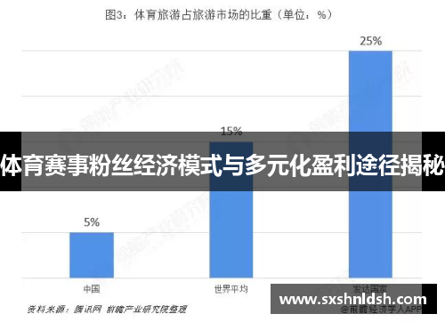 体育赛事粉丝经济模式与多元化盈利途径揭秘