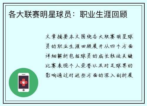 各大联赛明星球员：职业生涯回顾