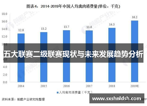 五大联赛二级联赛现状与未来发展趋势分析