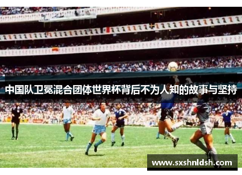 中国队卫冕混合团体世界杯背后不为人知的故事与坚持
