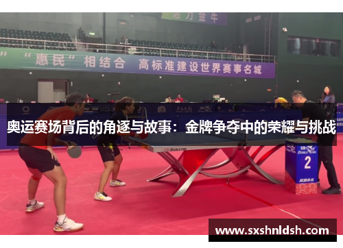 奥运赛场背后的角逐与故事：金牌争夺中的荣耀与挑战
