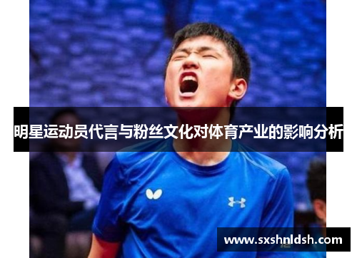 明星运动员代言与粉丝文化对体育产业的影响分析