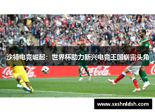 沙特电竞崛起：世界杯助力新兴电竞王国崭露头角
