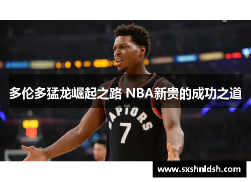 多伦多猛龙崛起之路 NBA新贵的成功之道