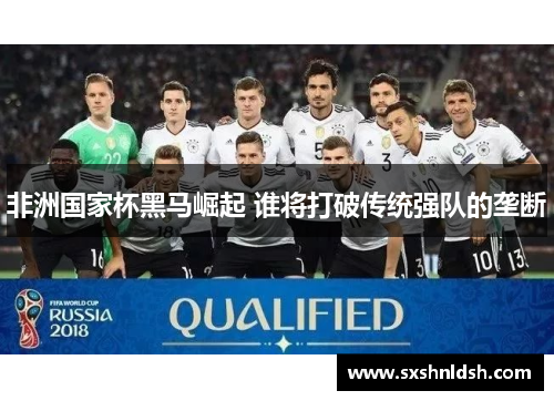 非洲国家杯黑马崛起 谁将打破传统强队的垄断