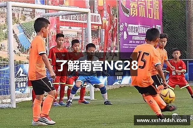 了解南宫NG28
