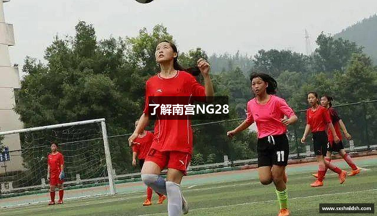 了解南宫NG28